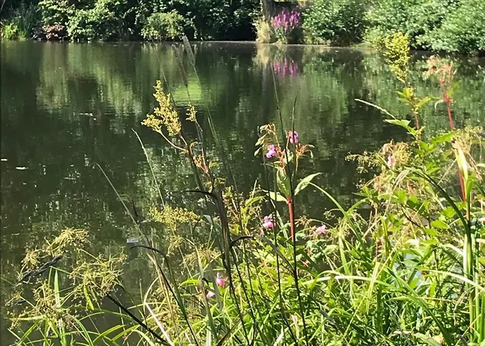 Appartement Mit Schwimmbad Ruheoase *