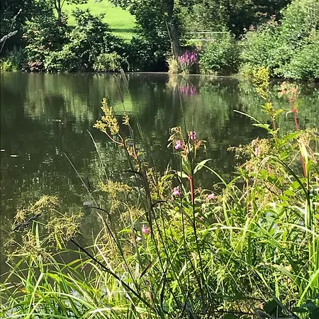 Apartment Mit Schwimmbad Ruheoase *