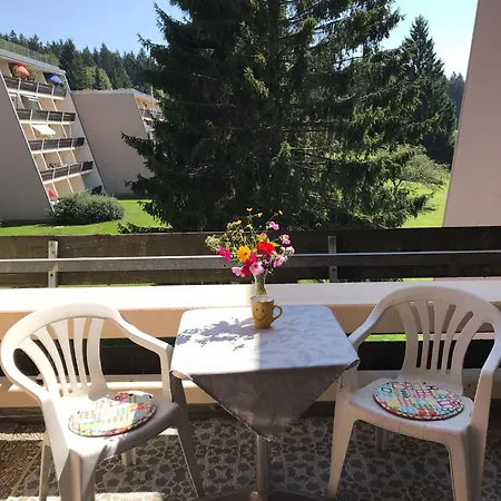 Mit Schwimmbad Ruheoase Apartment Sankt Englmar
